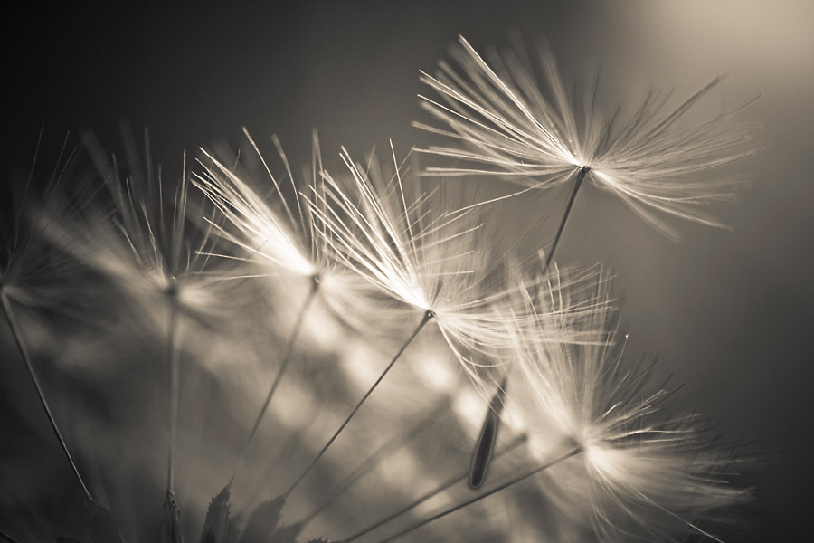Break free