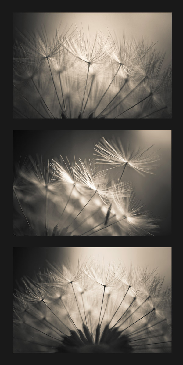 Triptych