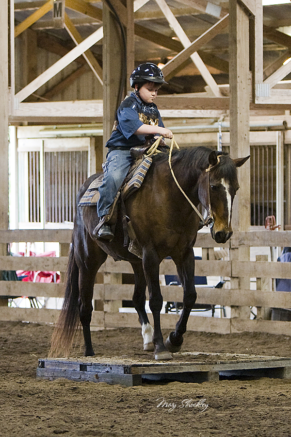 IMG_1602 4x6 web.jpg