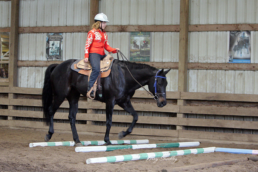 IMG_1590 4x6web.jpg