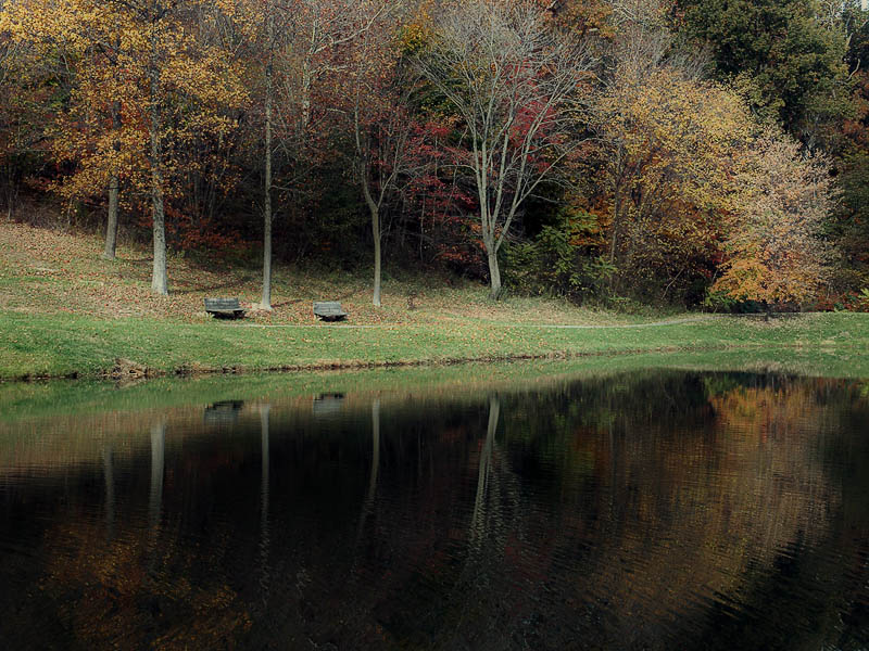 wMt Airy Park2.jpg
