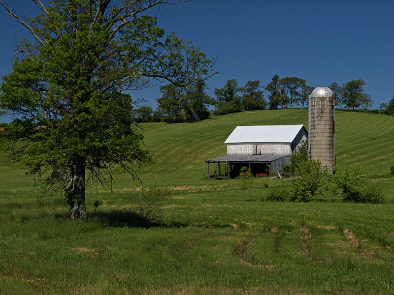 wDamascus Barn2 P5241782.jpg