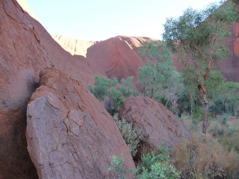 Outback246.jpg