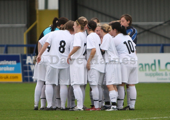 Hawks-barking161108-007.JPG