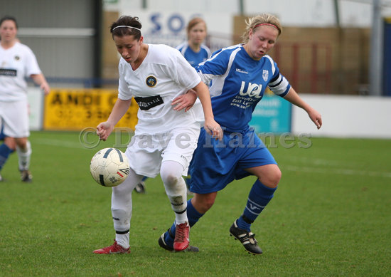 Hawks-barking161108-174.JPG