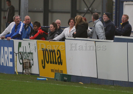 Hawks-barking161108-215.JPG