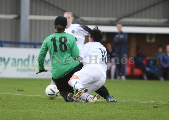 Hawks-barking161108-272.JPG