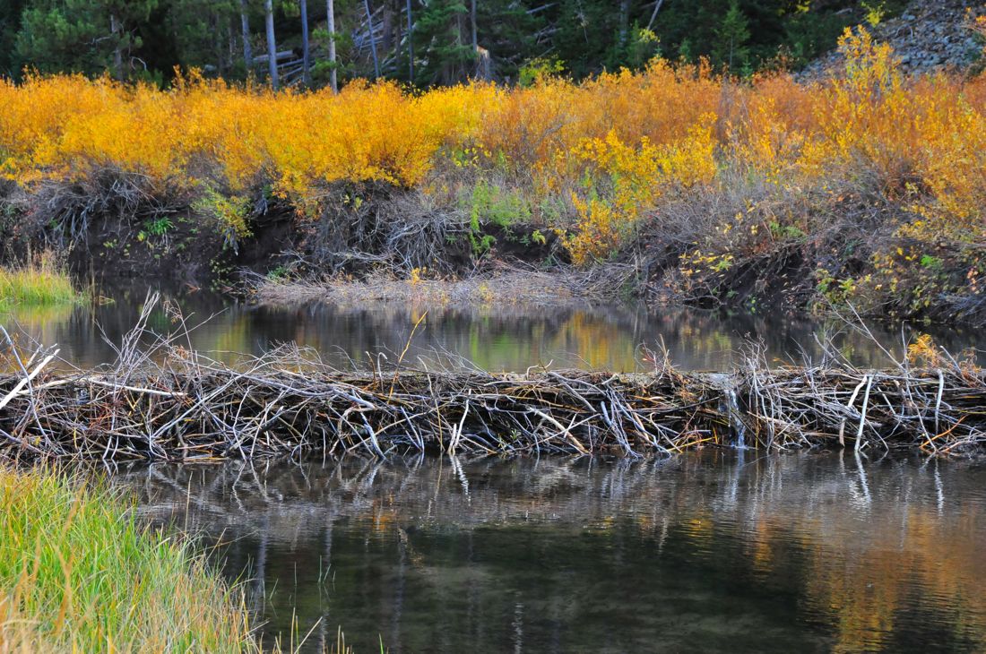 Beaver Dam, Idaho