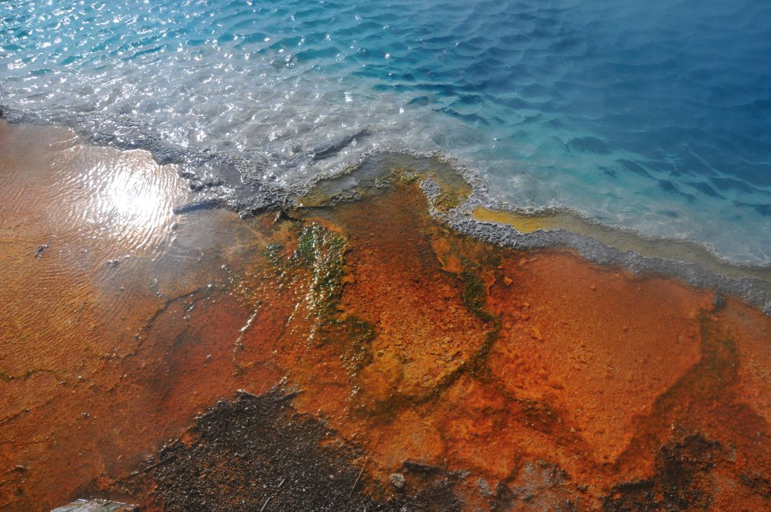 Edge of a Thermal Pool, West Thum, Yellowstone