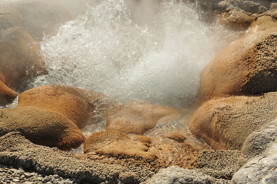 Mini-Geyser, Biscuit Basin