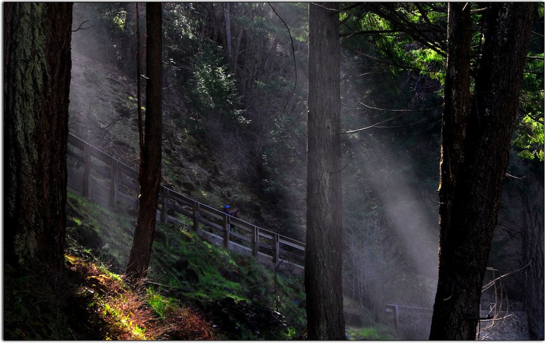 Spray Along the Trail, McArthur-Burney Falls