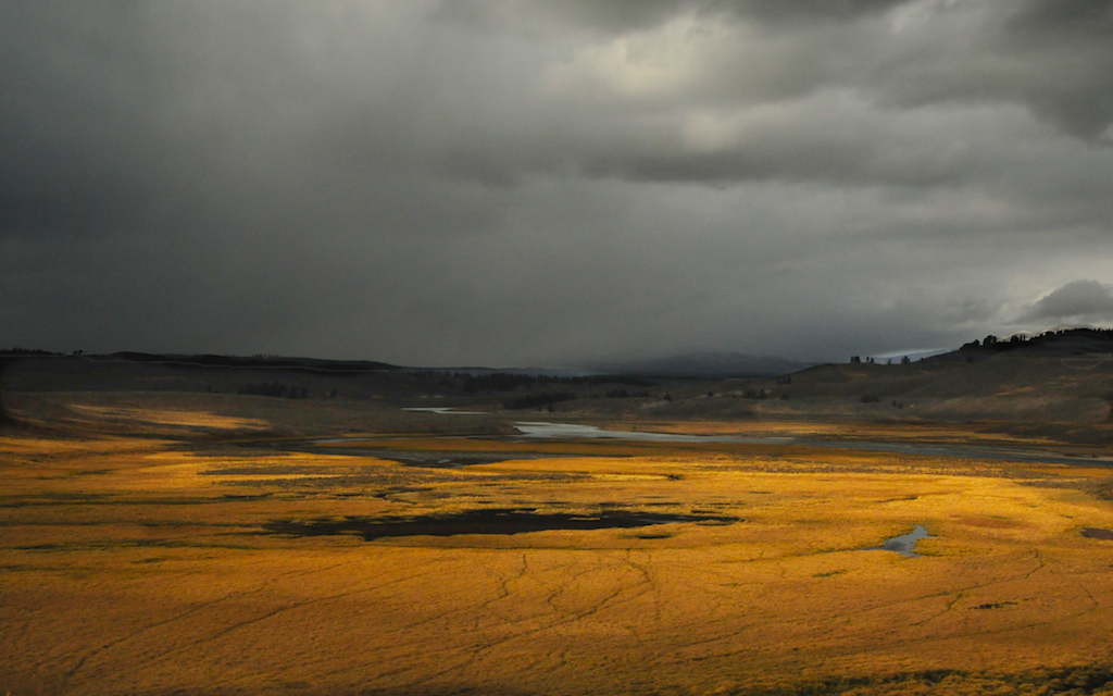 Hayden Valley, Yellowstone
