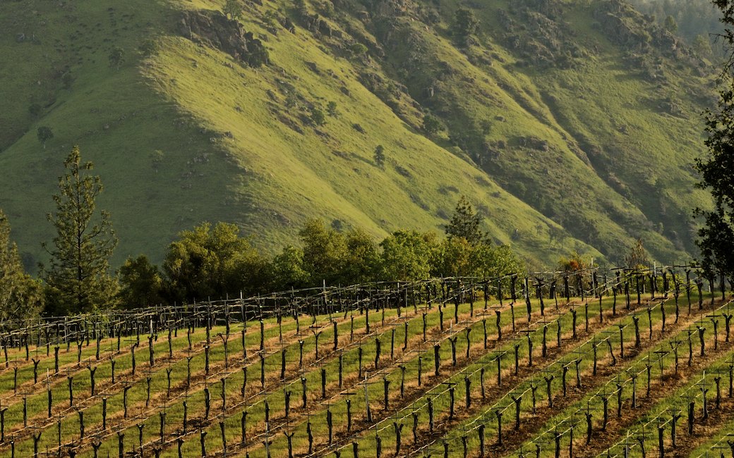 View over the Gold Hill Winery