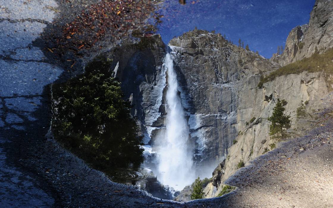 Upper Yosemite Fall Reflected in a Sidewalk Puddle at Yosemite Lodge