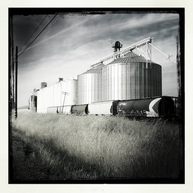 Rice Silos, Artois, California