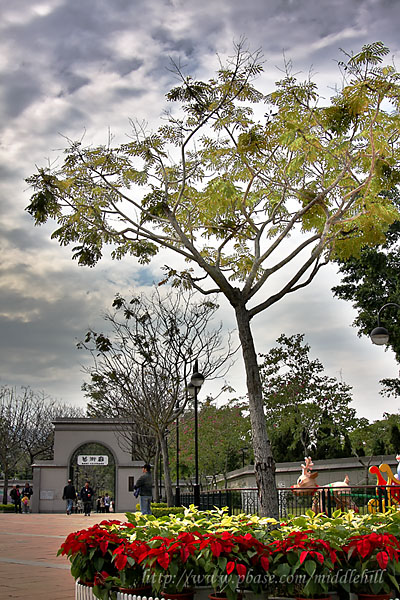 Sha Tin - Central Park