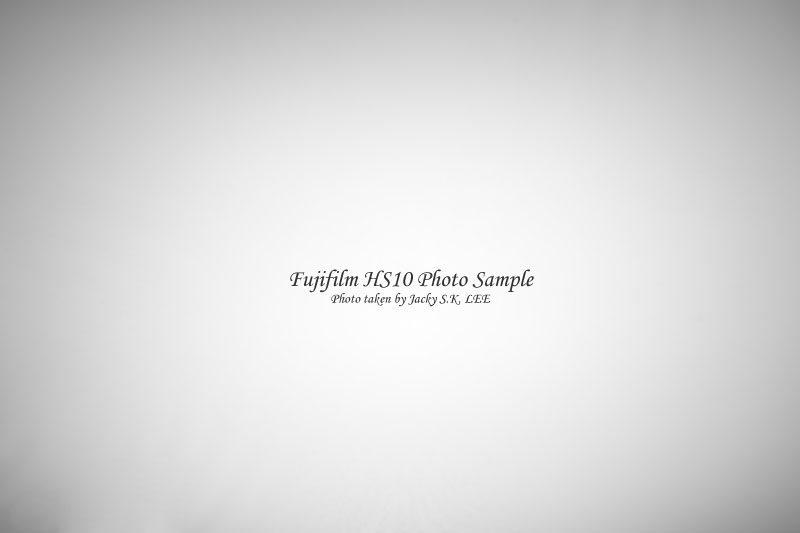 24mm f/4 (with hood)