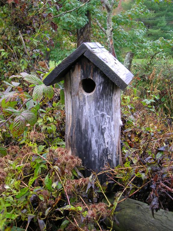 Bluebird Home