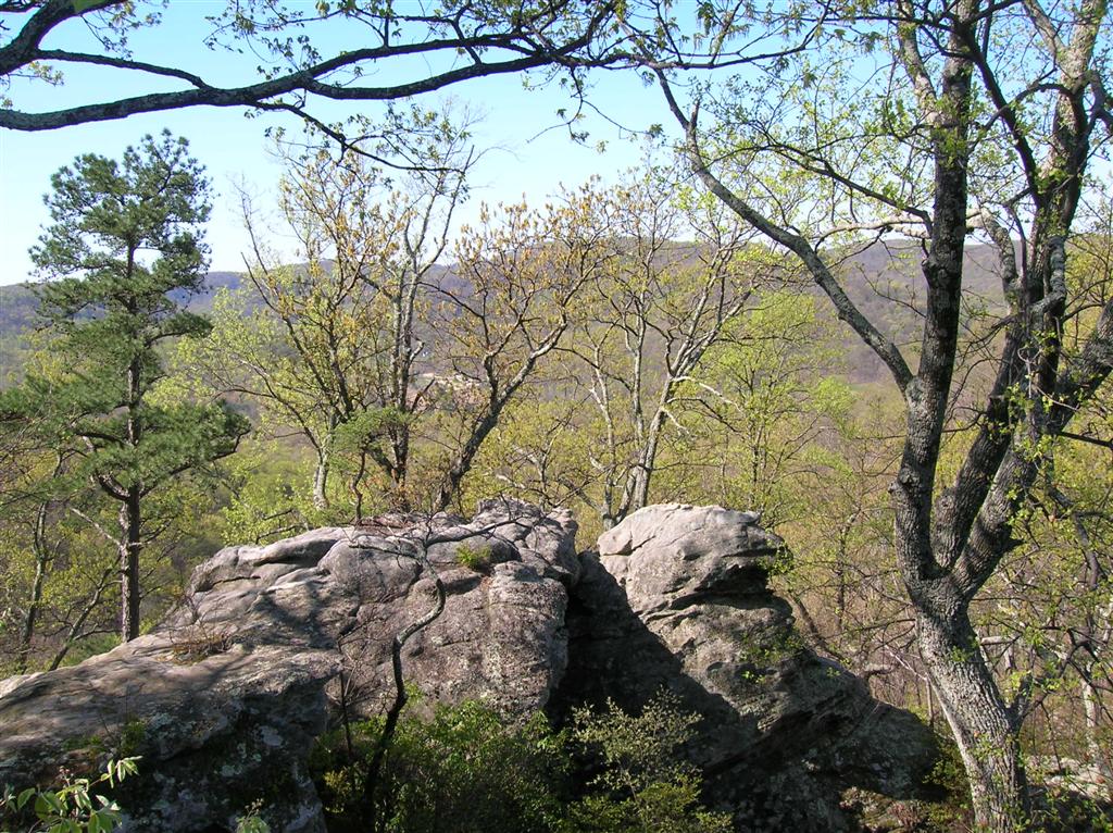 Sandstone Points