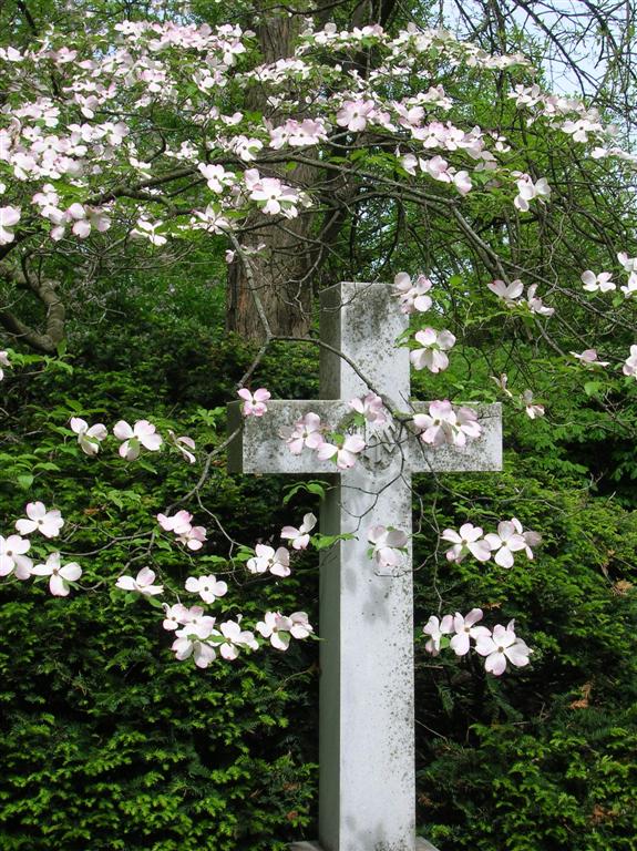 Cross and Dogwood Flowers