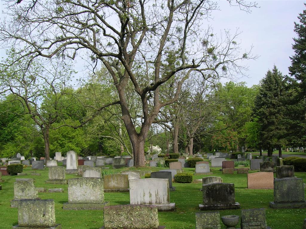 Lexington Cemetery