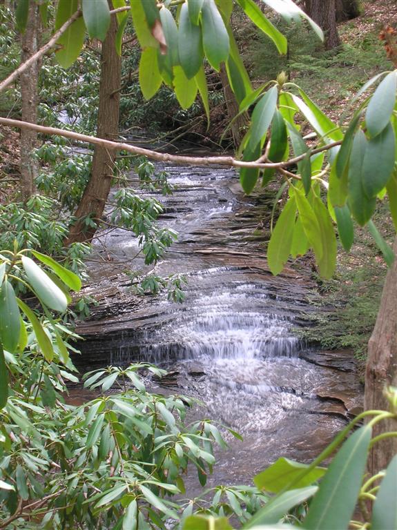 Tumbling Brook