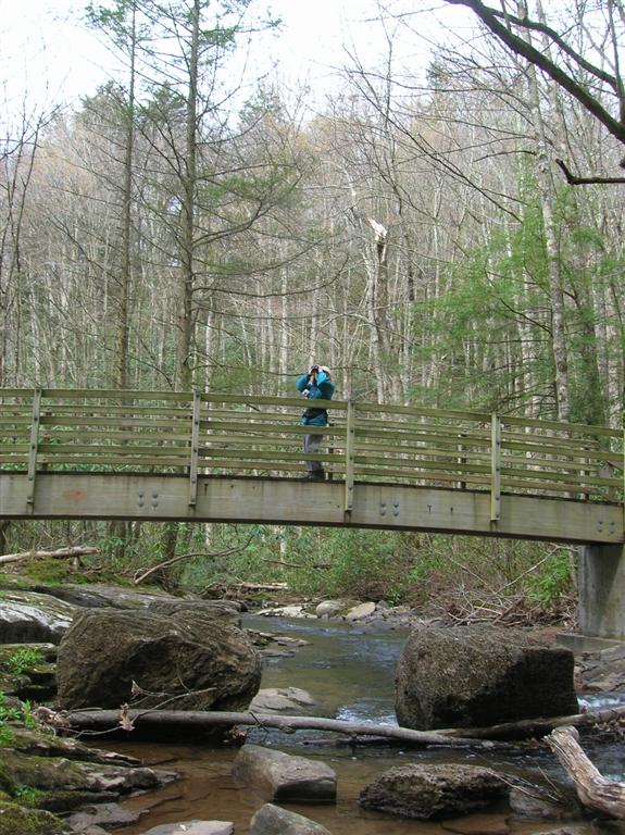 Bridge at Hills Creek