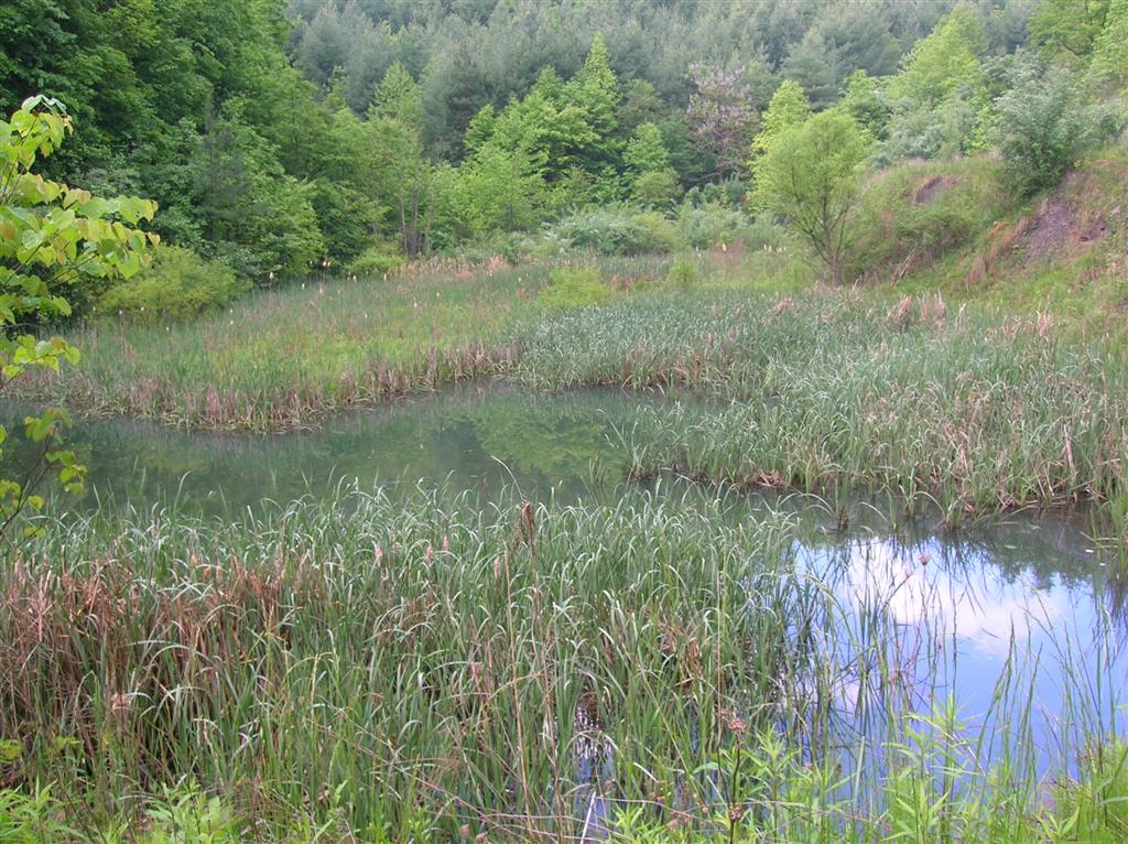 Mining Sediment Pond