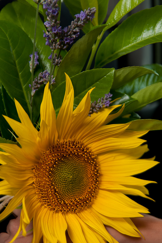 050_AL6_9219.jpg