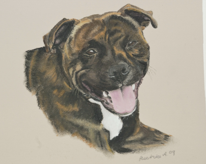 Rocky II - Pastel Pencils - Colourfix paper - original looks better than this pic!