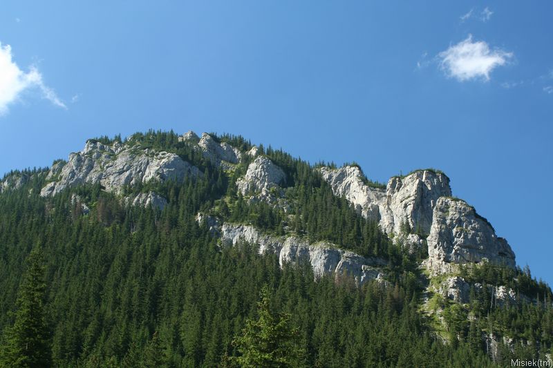 IMG_12245.JPG