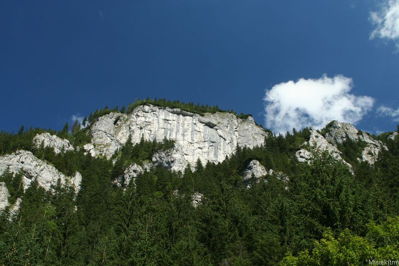 IMG_12256.JPG