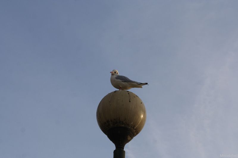 IMG_13207.JPG