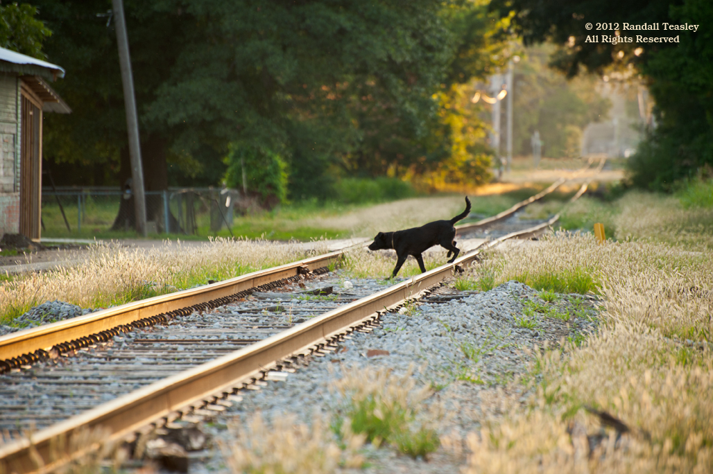Indianola-Crossing-the-tracks