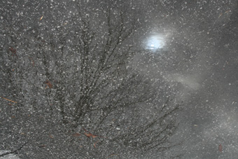 neige de macadam-2008.jpg