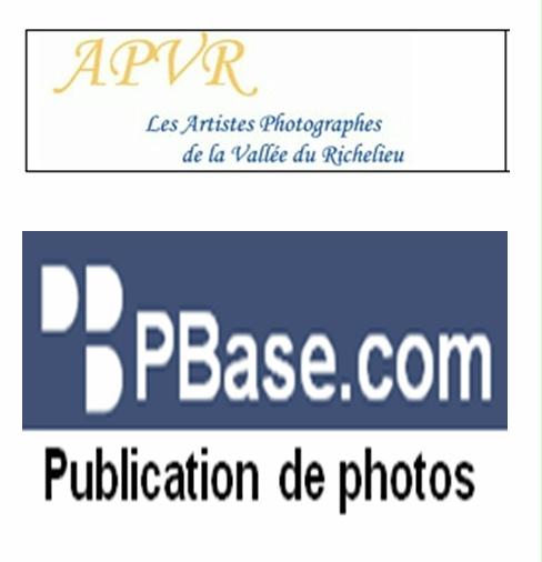 instructions_pbase