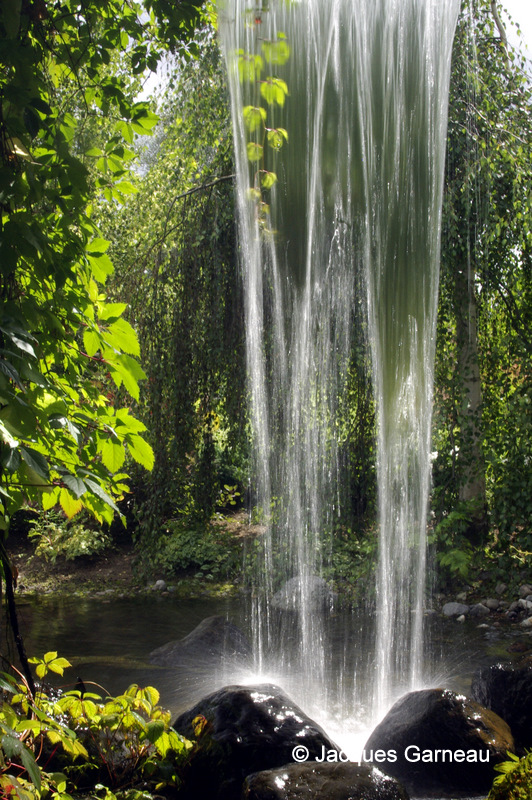 12x18_JG_Jardin Scullion, Lac-Saint-Jean_IGP8164.JPG