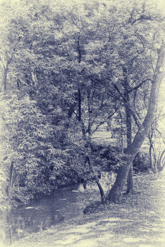 LE RUISSEAU.jpg