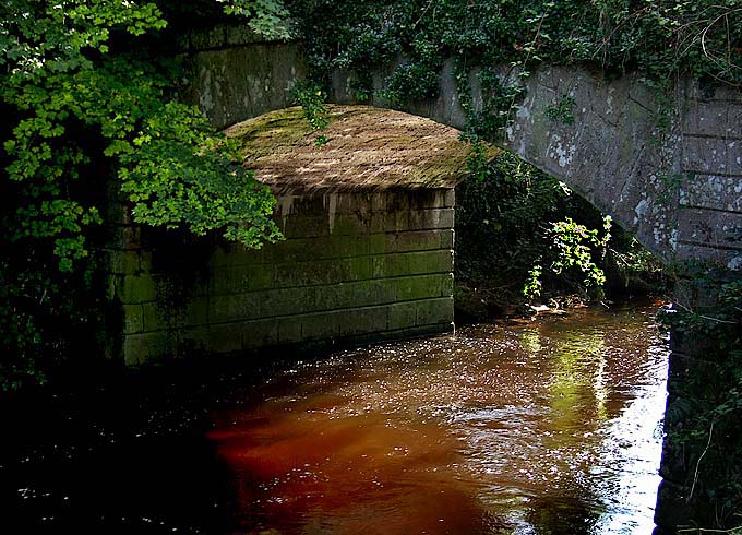 Under Dog Marsh Bridge