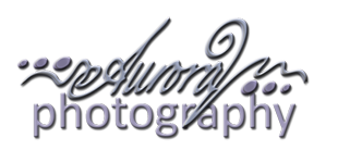 logo-aurorasmall.png