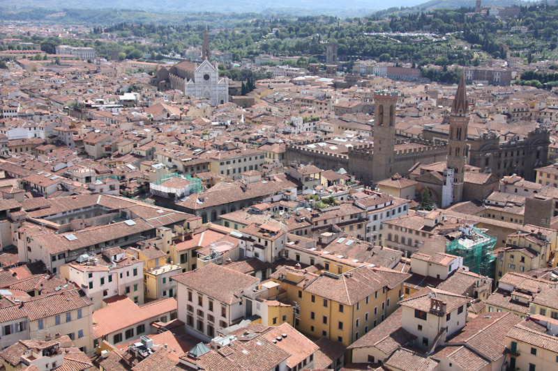 Florence from the Campanile