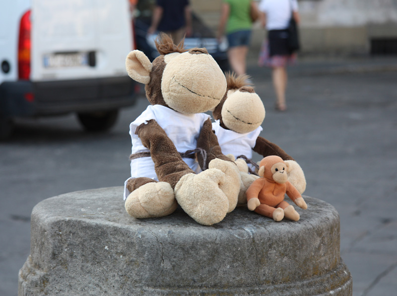 Monkey with Friends