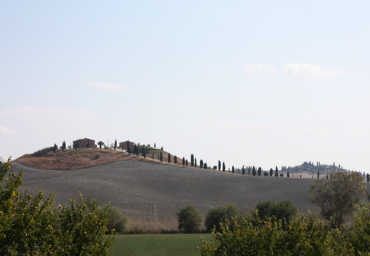 The Crete, near Siena