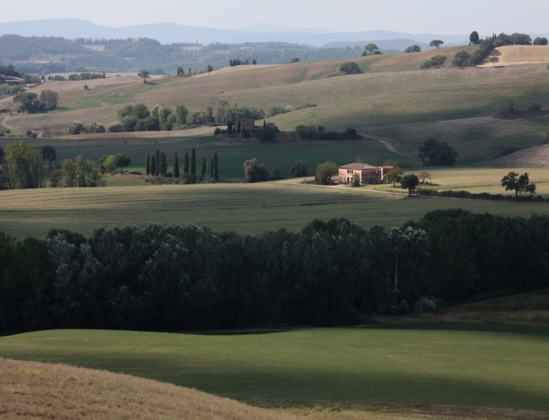 The Crete, near Siena