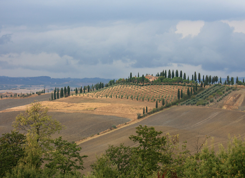The Crete, near Siena