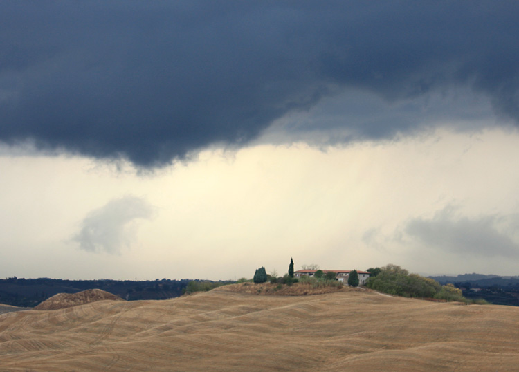 The Crete, near Siena