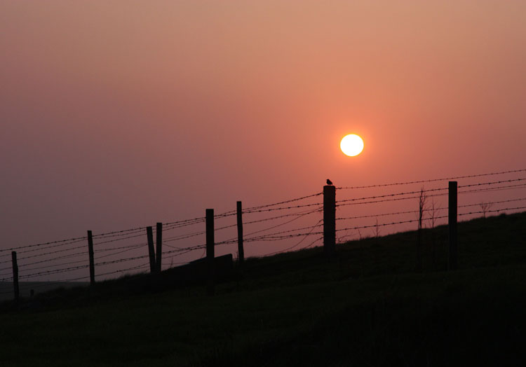 Orkney Sunset