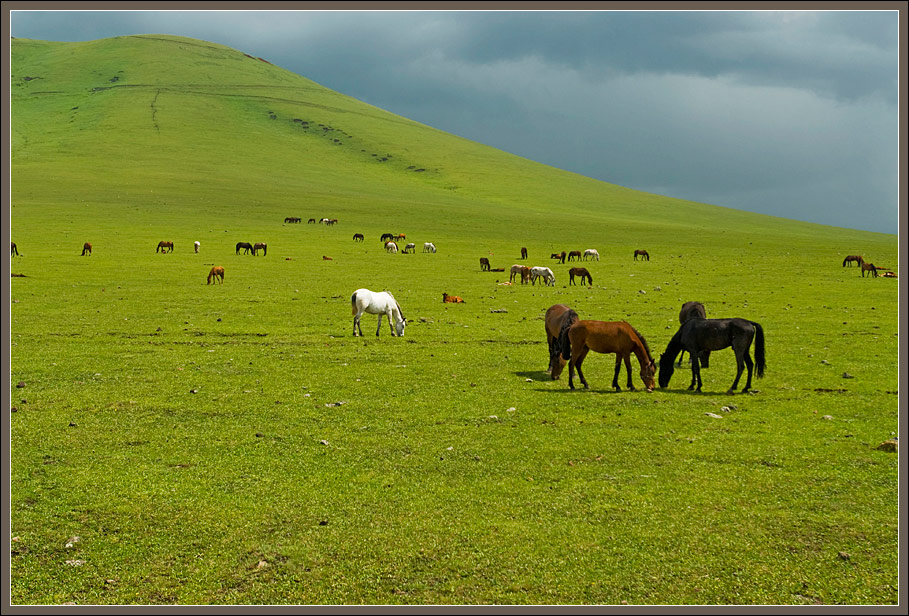   Kars area