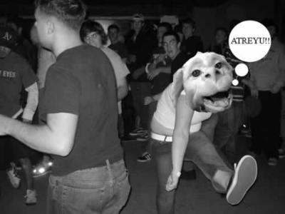 d.JPG