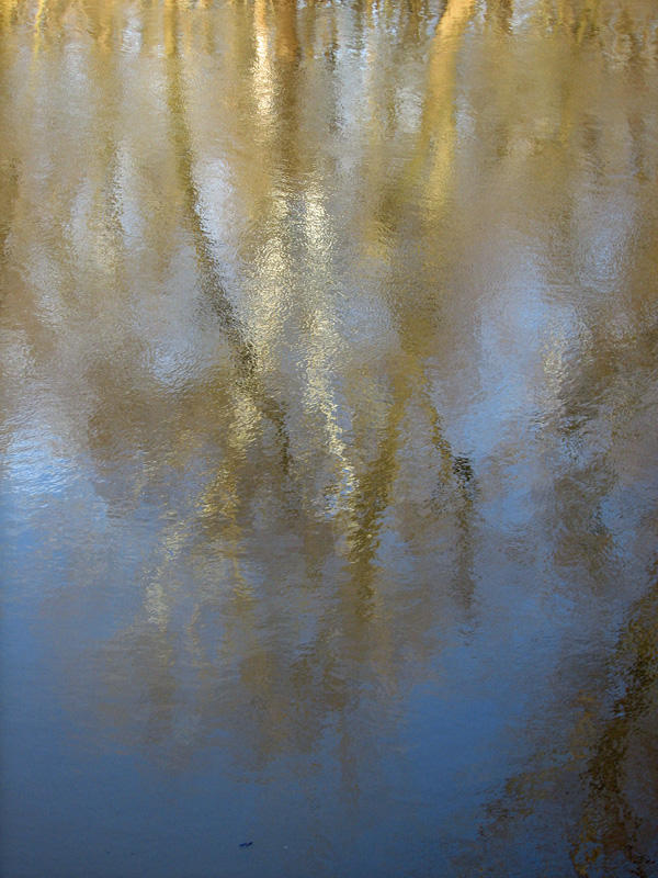 Reflections in the early morning flows